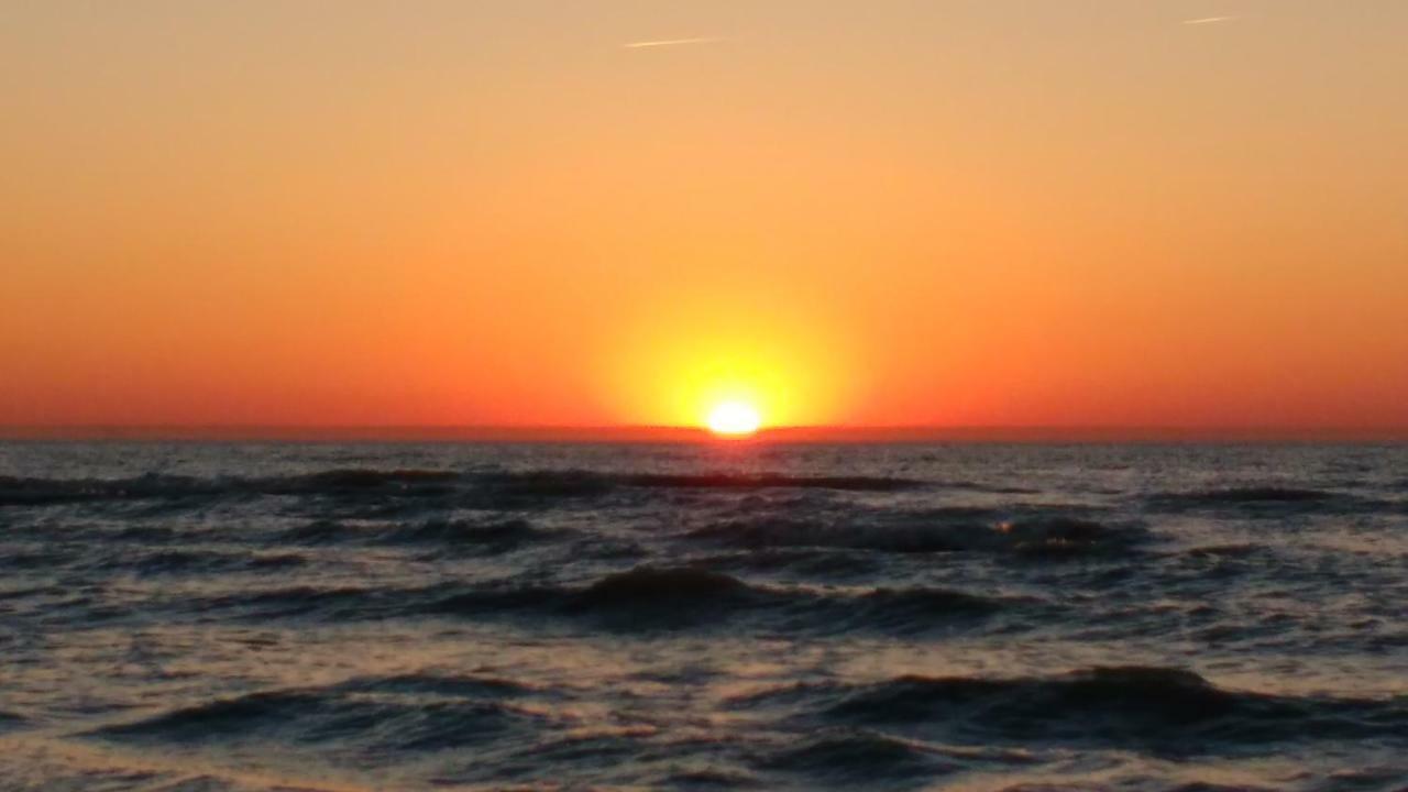 Malibu Beach Koksijde Eksteriør bilde